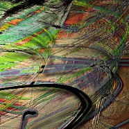 VEILED OPTIMISM