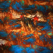 IN FLUX
