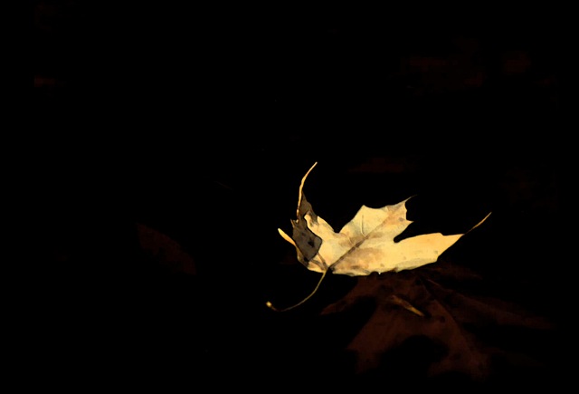 Loading Image