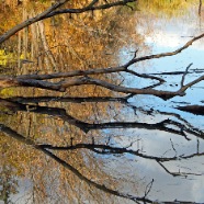 SYMMETRY