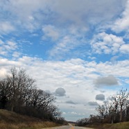 OPEN ROAD