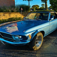 Mustang.jpg
