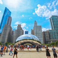 BEAN .jpg