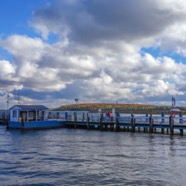 0D0A8695.jpg