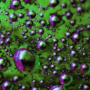 FLUID
