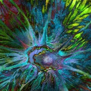 KARMIC VOYAGES